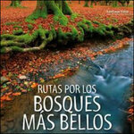 RUTAS POR LOS BOSQUES MÁS BELLOS