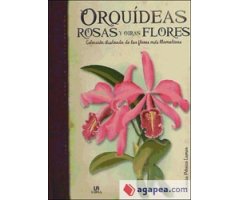 ORQUIDEAS, ROSAS Y OTRAS FLORES