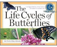 THE LIFE CYCLES OF BUTTERFLIES. FROM EGG TO MATURITY, A VISUAL GUIDE TO 23 COMMON GARDEN BUTTERFLIES