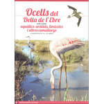 OCELLS DEL DELTA DE L'EBRE. GUIA VISUAL (SIS DESPLEGABLES DE DIFERENT TEMÀTICA)_1