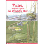 OCELLS DEL DELTA DE L'EBRE. GUIA VISUAL (SIS DESPLEGABLES DE DIFERENT TEMÀTICA) 4