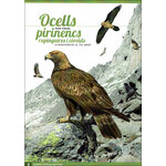 PIRINENCS. 6 GUIES VISUALS DE FLORA I FAUNA 6