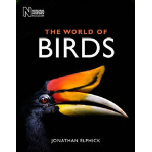 THE WORLD OF BIRDS