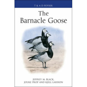 THE BARNACLE GOOSE