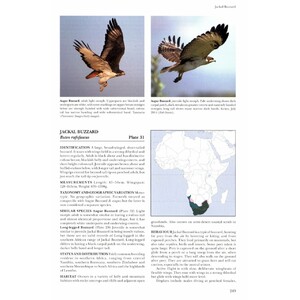 HELM IDENTIFICATION GUIDES. AFRICAN RAPTORS 3