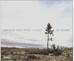 LES PLUS VIEUX ETRES VIVANTS DU MONDE