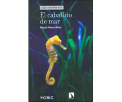 EL CABALLITO DE MAR    