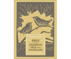 BIRDS OF THE HEDGEROW, FIELD AND WOODLAND