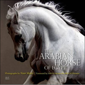 THE ARABIAN HORSE OF EGYPT