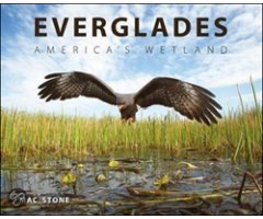 EVERGLADES. AMERICA'S WETLAND