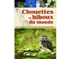 CHOUETTES ET HIBOUX DU MONDE
