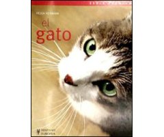 EL GATO