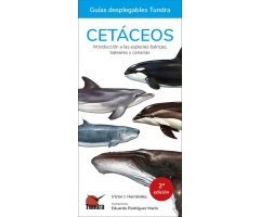 CETÁCEOS. INTRODUCCIÓN A LAS ESPECIES IBÉRICAS, BALEARES Y CANARIAS. GUÍAS DESPLEGABLES TUNDRA