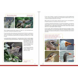 GUIA D'OCELLS PER A NOIS I NOIES 3