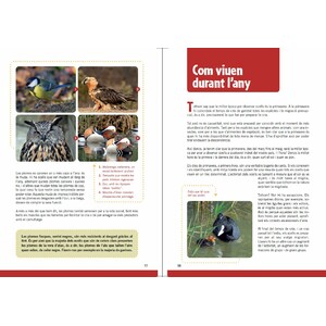 GUIA D'OCELLS PER A NOIS I NOIES 5