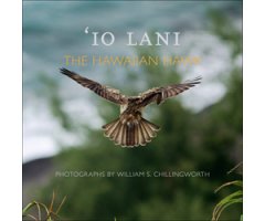 \'IO LANI. THE HAWAIIAN HAWK