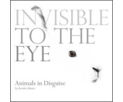 INVISIBLE TO THE EYE. ANIMALS IN DISGUISE