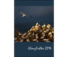 GLANZLICHTER 2014