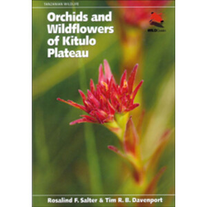 ORCHIDS AND WILDFLOWERS OF KITULO PLATEAU