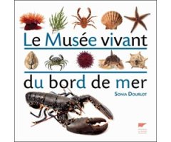 LE MUSÉE VIVANT DU BORD DE MER