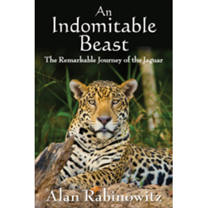 AN INDOMITABLE BEAST. THE REMARKABLE JOURNEY OF THE JAGUAR