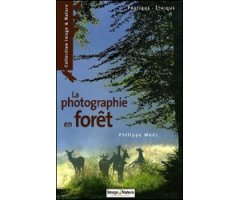 LA PHOTOGRAPHIE EN FORET