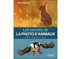 LES SECRETS DE LA PHOTO D'ANIMAUX