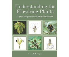UNDERSTANDING THE FLOWERING PLANTS. A PRACTICAL GUIDE FOR BOTANICAL ILLUSTRATORS