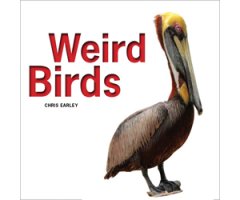 WEIRD BIRDS