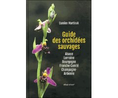 GUIDE DES ORCHIDÉES SAUVAGES 2