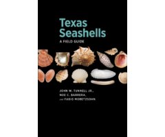 TEXAS SEASHELLS. A FIELD GUIDE