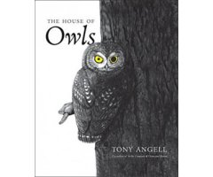 THE HOUSE OF OWLS