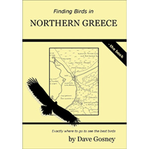 FINDING BIRDS IN NORTHERN GREECE