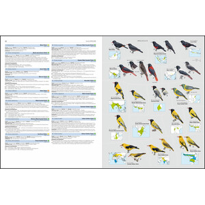 HBW AND BIRDLIFE INTERNATIONAL ILLUSTRATED CHECKLIST OF THE BIRDS OF THE WORLD. VOL. 2_1