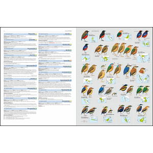 HBW AND BIRDLIFE INTERNATIONAL ILLUSTRATED CHECKLIST OF THE BIRDS OF THE WORLD. VOL. 2 3