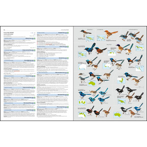 HBW AND BIRDLIFE INTERNATIONAL ILLUSTRATED CHECKLIST OF THE BIRDS OF THE WORLD. VOL. 2 4