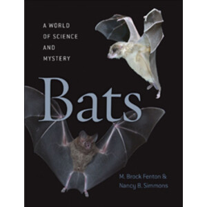 BATS. A WORLD OF SCIENCE AND MYSTERY
