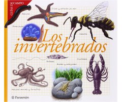 LOS INVERTEBRADOS. GUÍAS DE CAMPO        