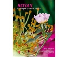 ROSAS DE ARAGÓN Y TIERRAS VECINAS 2