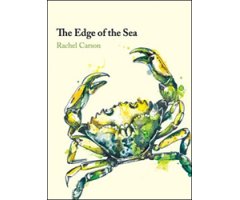 THE EDGE OF THE SEA