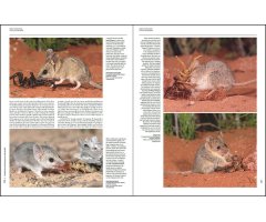 HANDBOOK OF THE MAMMALS OF THE WORLD. VOL. 5 MONOTREMES AND MARSUPIALS 2