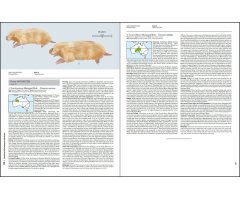 HANDBOOK OF THE MAMMALS OF THE WORLD. VOL. 5 MONOTREMES AND MARSUPIALS 4