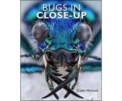 BUGS IN CLOSE-UP