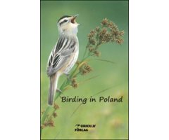 BIRDING IN POLAND   