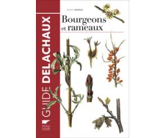 BOURGEONS ET RAMEAUX 