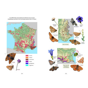 LA VIE DES PAPILLONS. ECOLOGIE, BIOLOGIE ET COMPORTEMENT DES RHOPALOCERES DE FRANCE 3