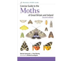 CONCISE GUIDE TO THE MOTHS OF GREAT BRITAIN AND IRELAND