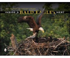 INSIDE A BALD EAGLE'S NEST. A PHOTOGRAPHIC JOURNEY THROUGH THE AMERICAN BALD EAGLE NESTING SEASON