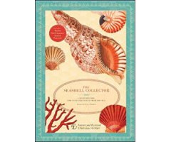 THE SEASHELL COLLECTOR