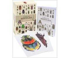 A BOX OF BEETLES 100 BEAUTIFUL POSTCARDS     